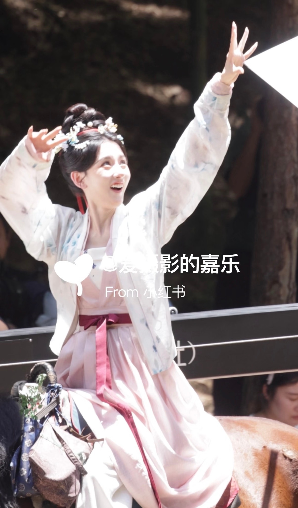 笨蛋 