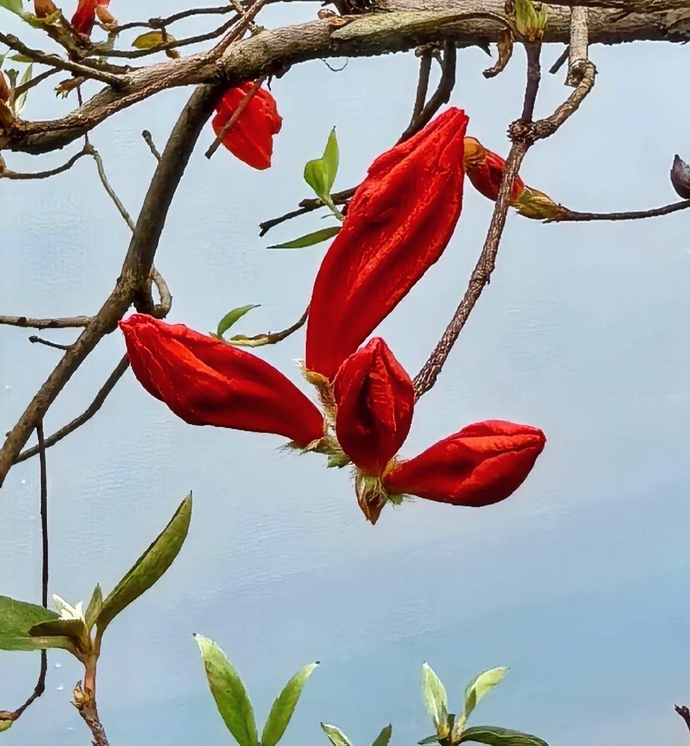 原来这才是真正的驭人术，高手管理从不硬碰硬。

老话讲：知人善任，因材施教，管人