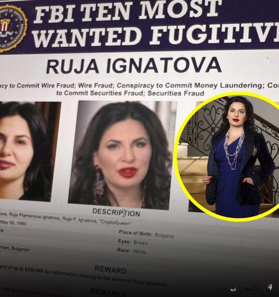 一些绝顶聪明的头脑在建立帝国，而另一些头脑，则利用这些帝国实施一场天衣无缝的骗局