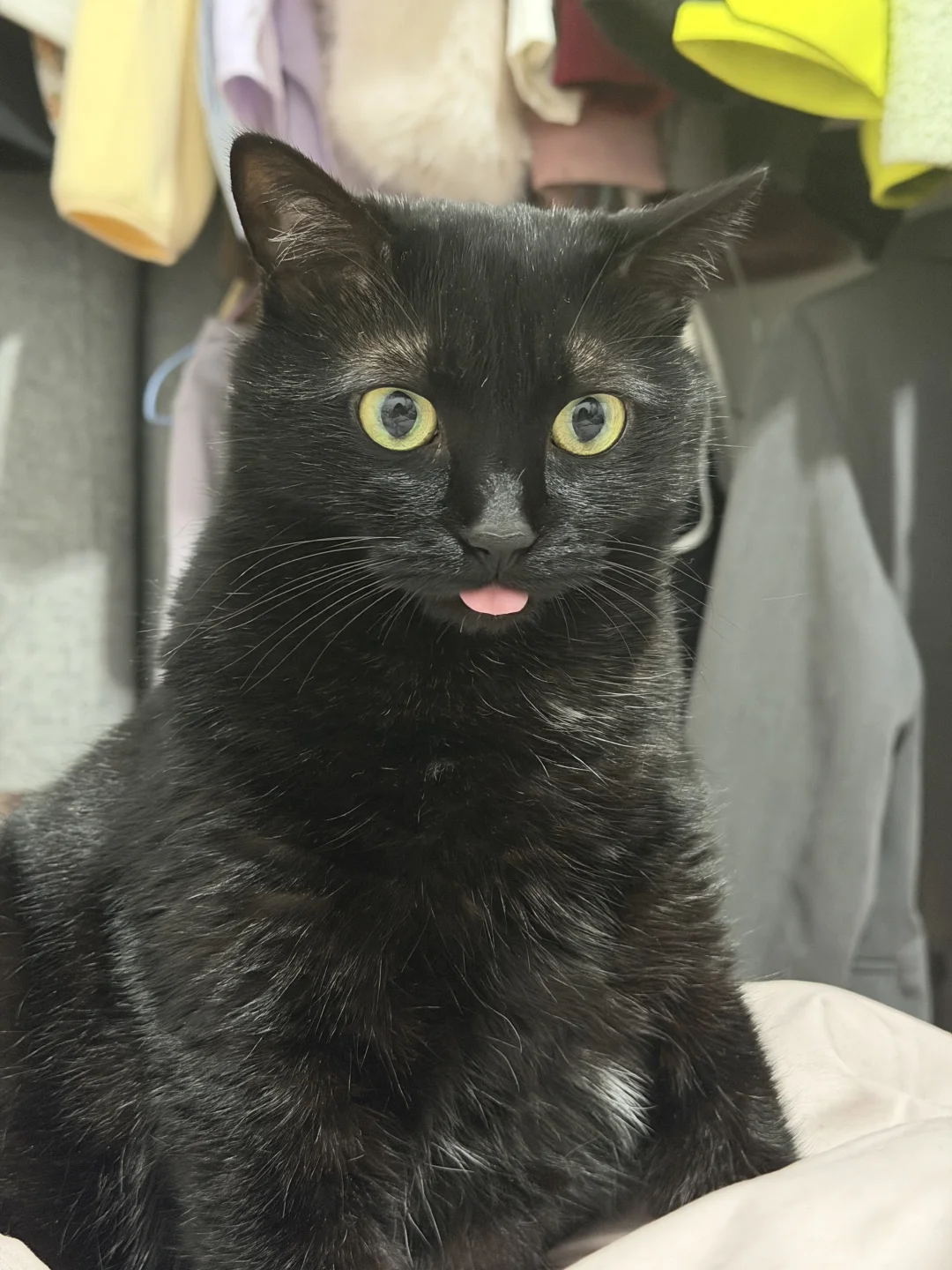 我女太可爱了！