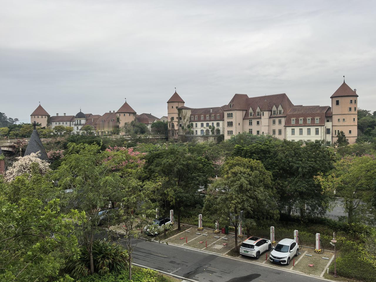 冬日生活打卡季