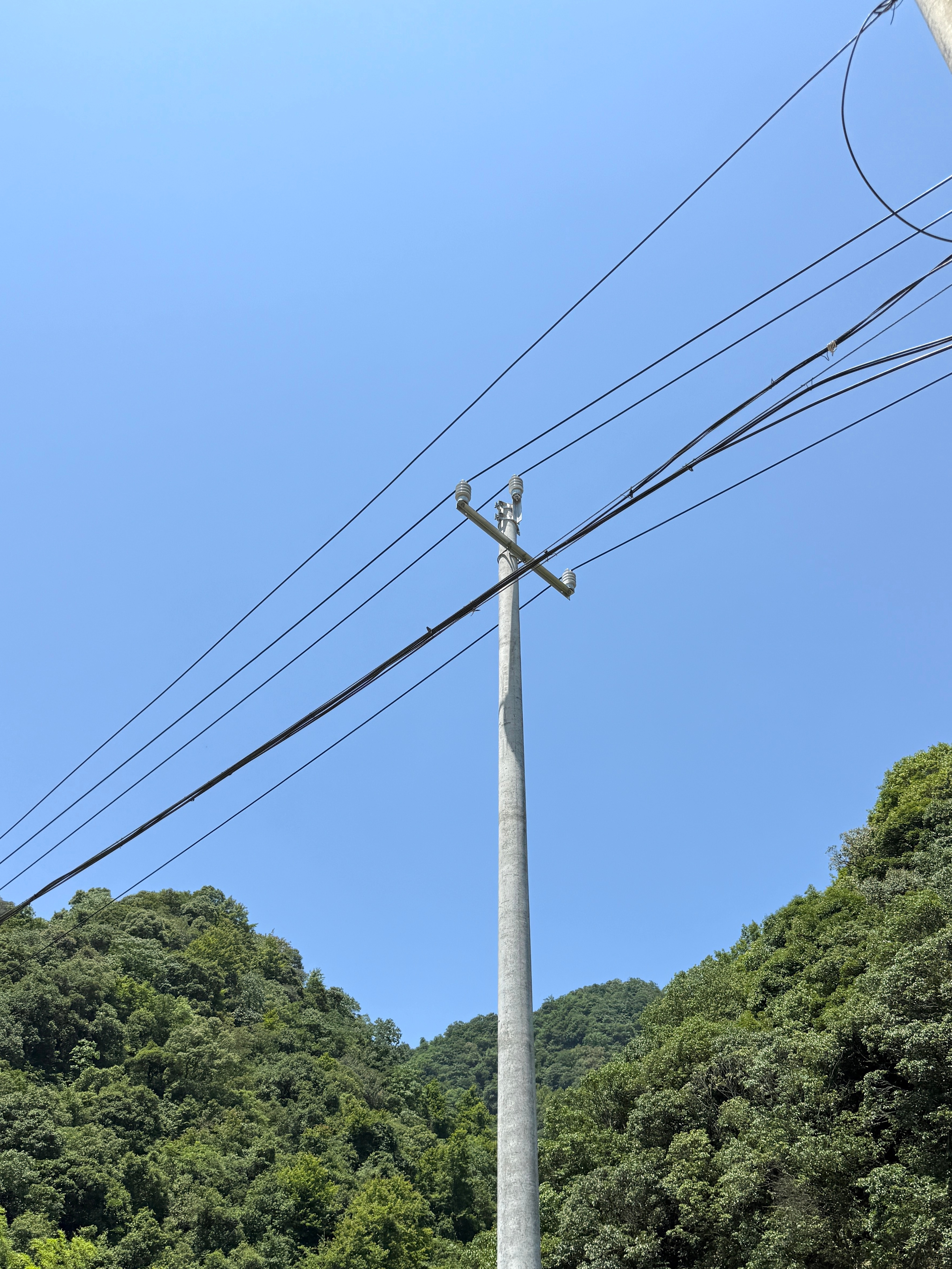 绿色的梦 ​​​