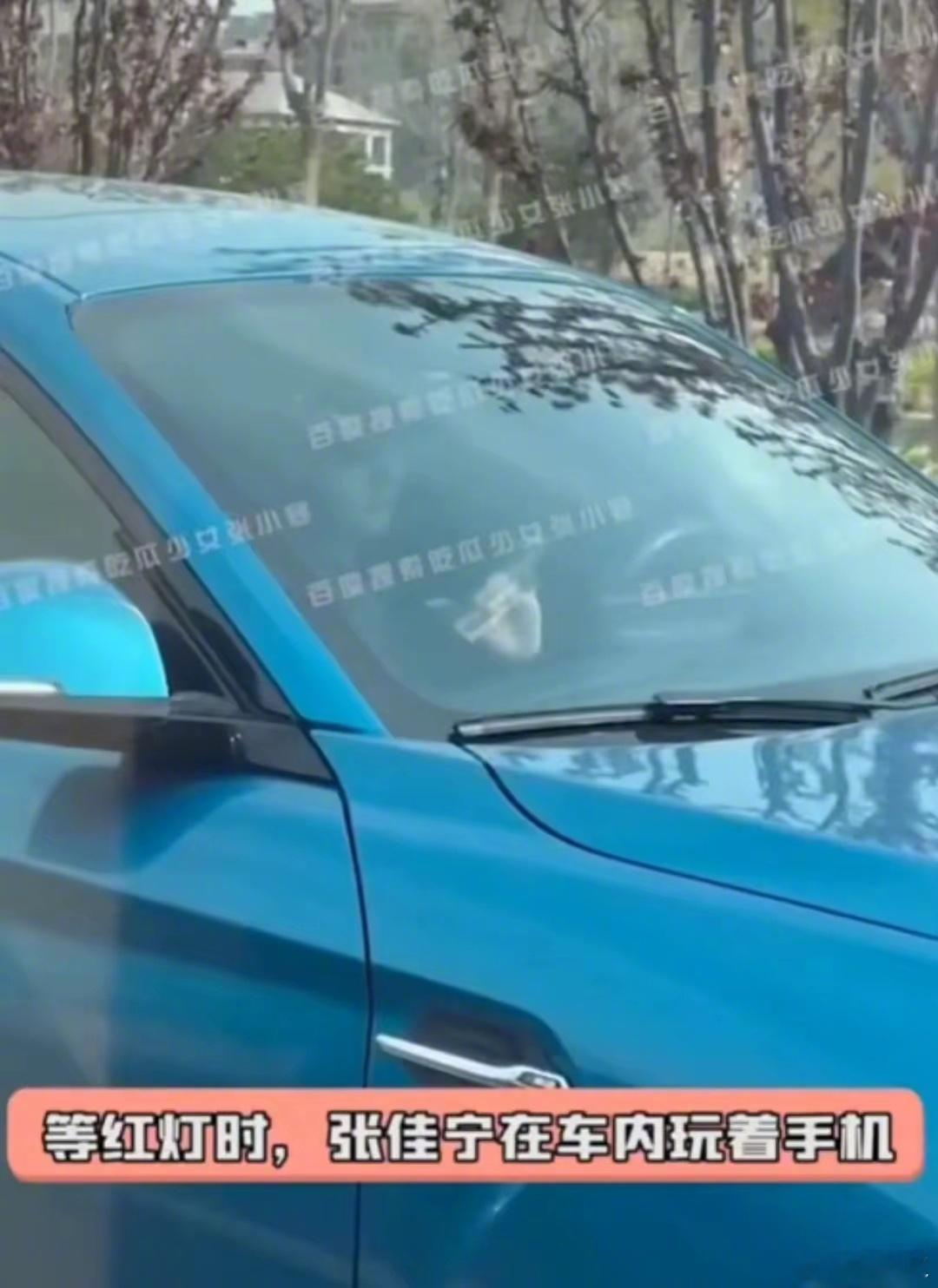张佳宁高至霆公园遛狗张佳宁与男友高至霆在公园遛狗的甜蜜画面，阳光洒在两人身上，温