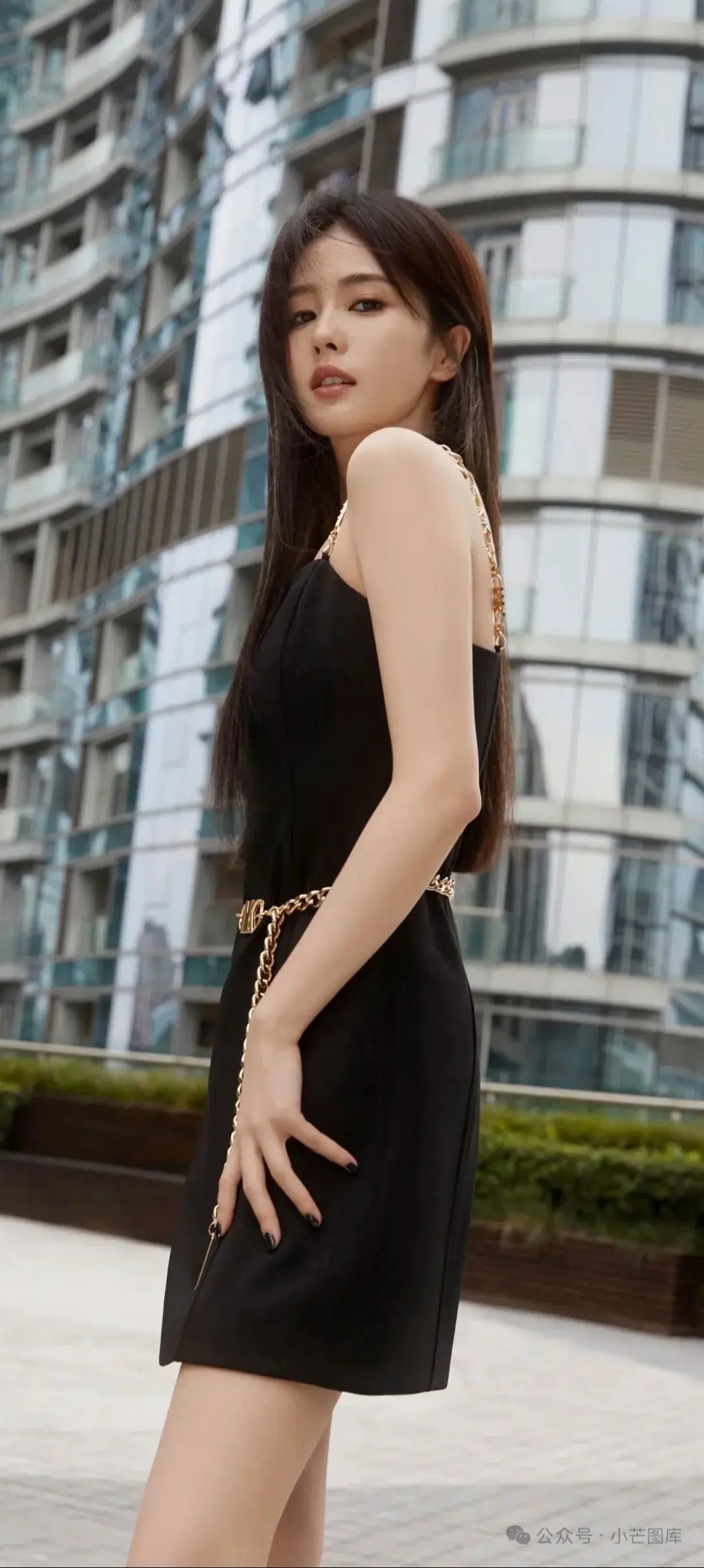 白鹿