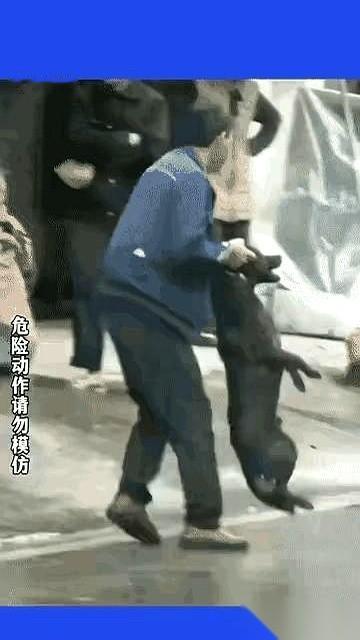 一段5月29号的监控，把很多人看压抑了。
画面里，一条没拴绳的大狗，毫无征兆，扑