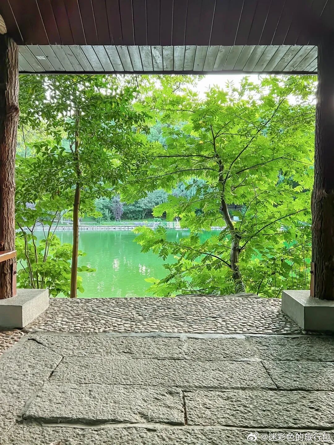 艾溪湖的抹茶湖面搭配成片水中水杉，美书馆窗边取景温柔治愈；梅湖景区满池荷花衬着古