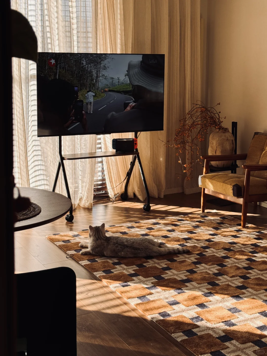 56平一人居｜日日 是好日