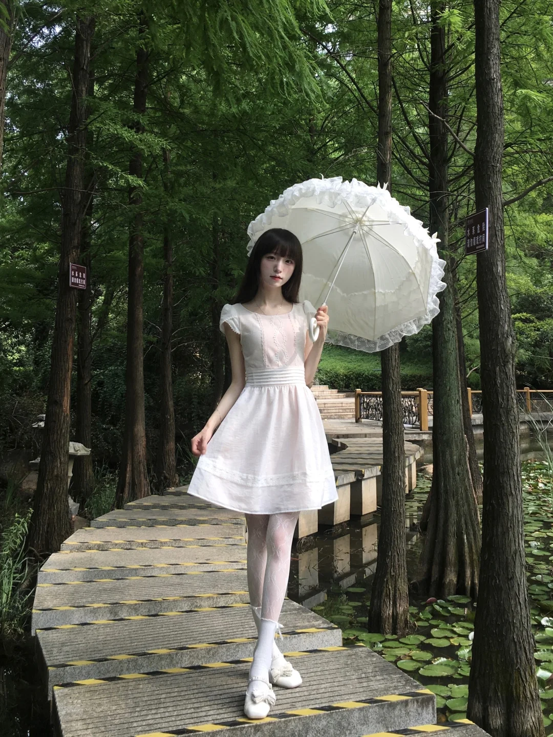 清风梦夏