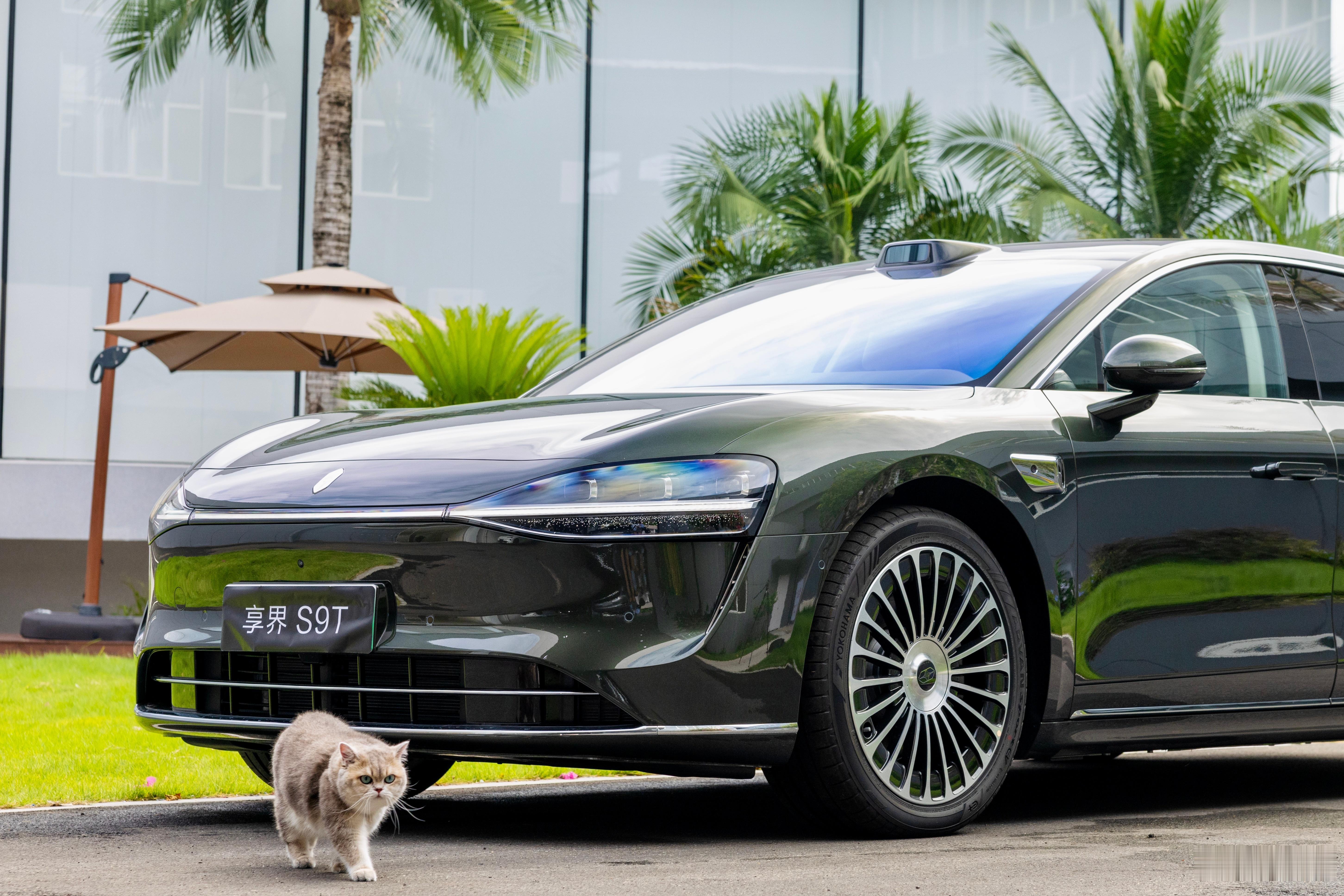 请超模和我的享界 S9T 拍照，这猫步走得太有气势了[憧憬] ​​​