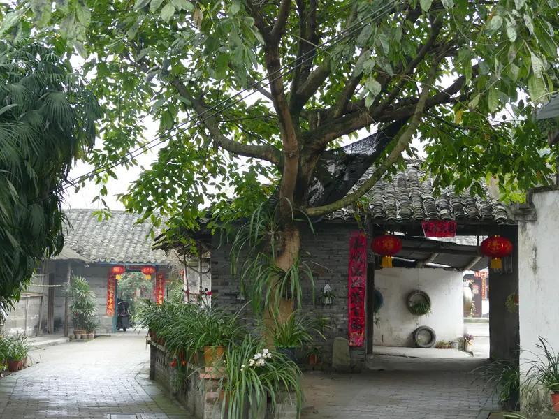 人与人之间最好的关系，是远近相安、彼此照亮又彼此独立。就像相邻的树木，共享阳光养