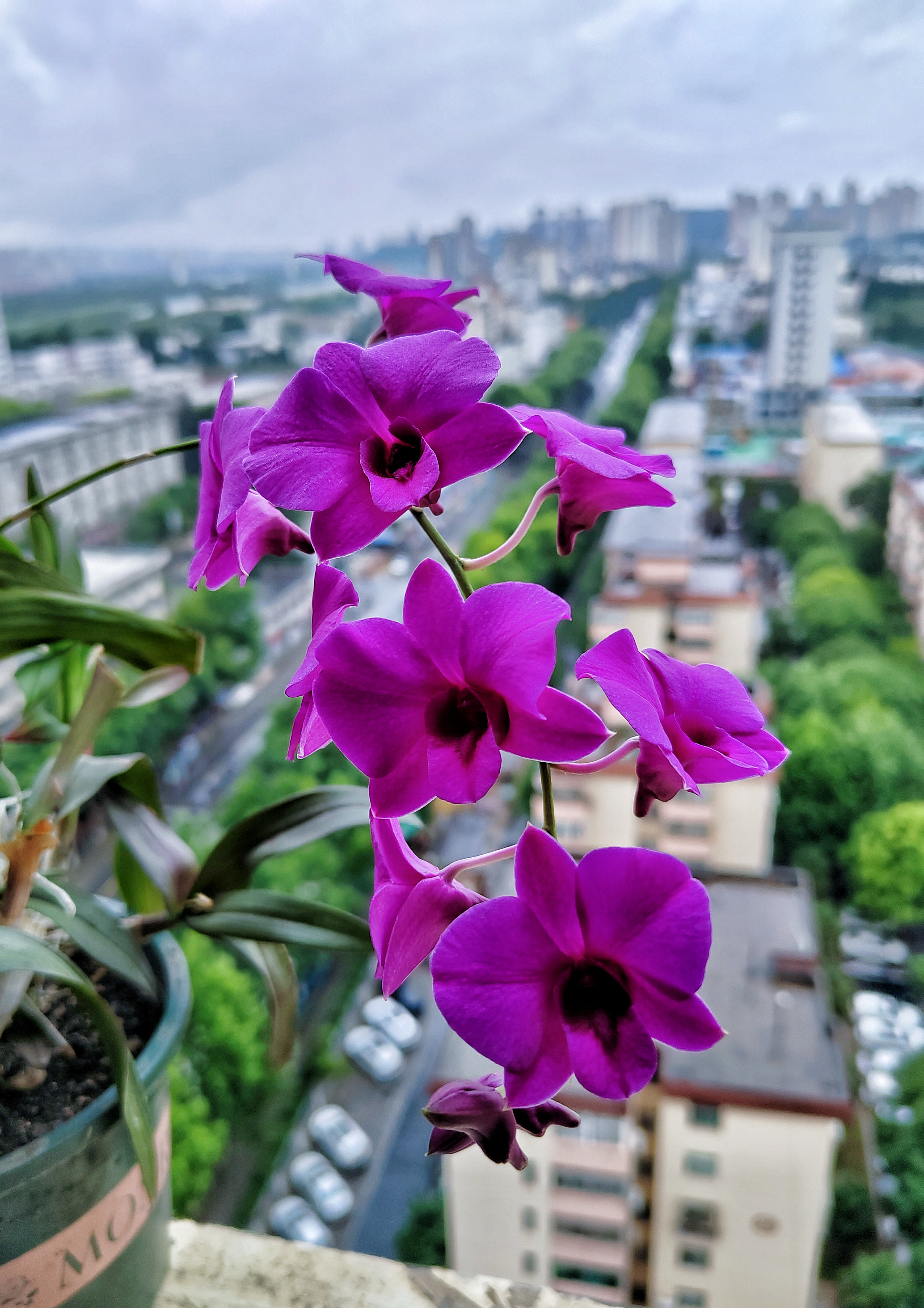 时间这雨，冲走了路人，留下了知己。 