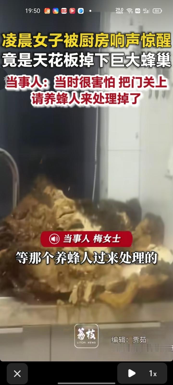 7月19日，宁波余姚市。网友晒视频表示，准备睡觉时听见“砰咚”一声响，走到厨房发
