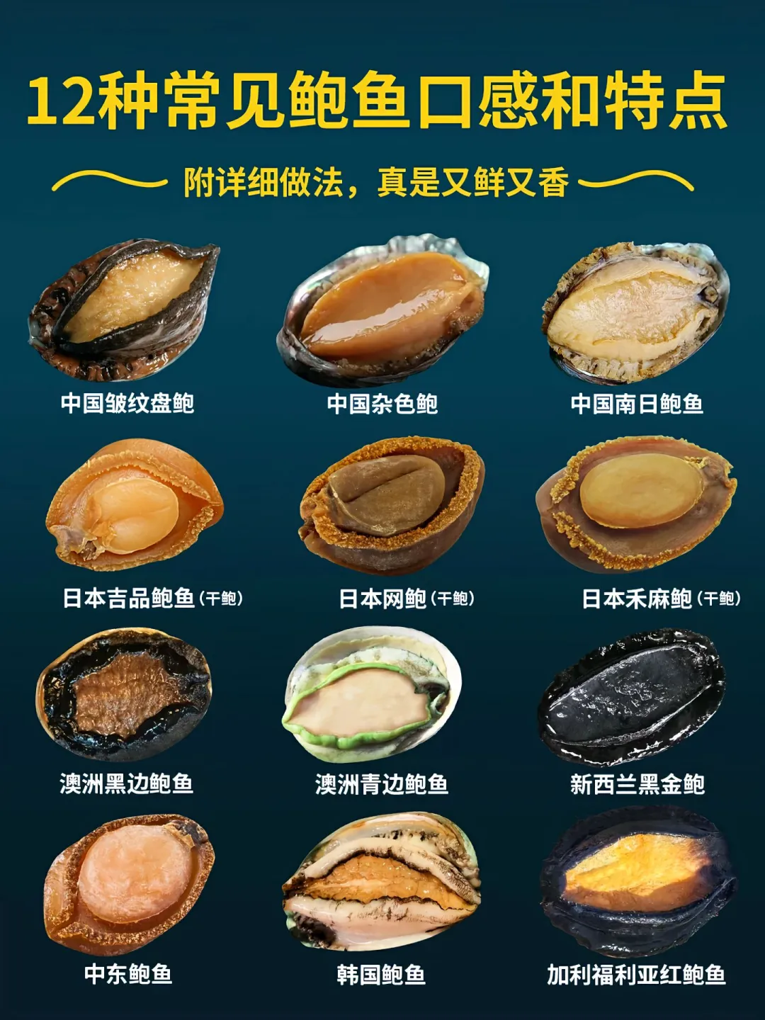 🐚鲍鱼控狂喜！12种鲍鱼吃法&特点大公开