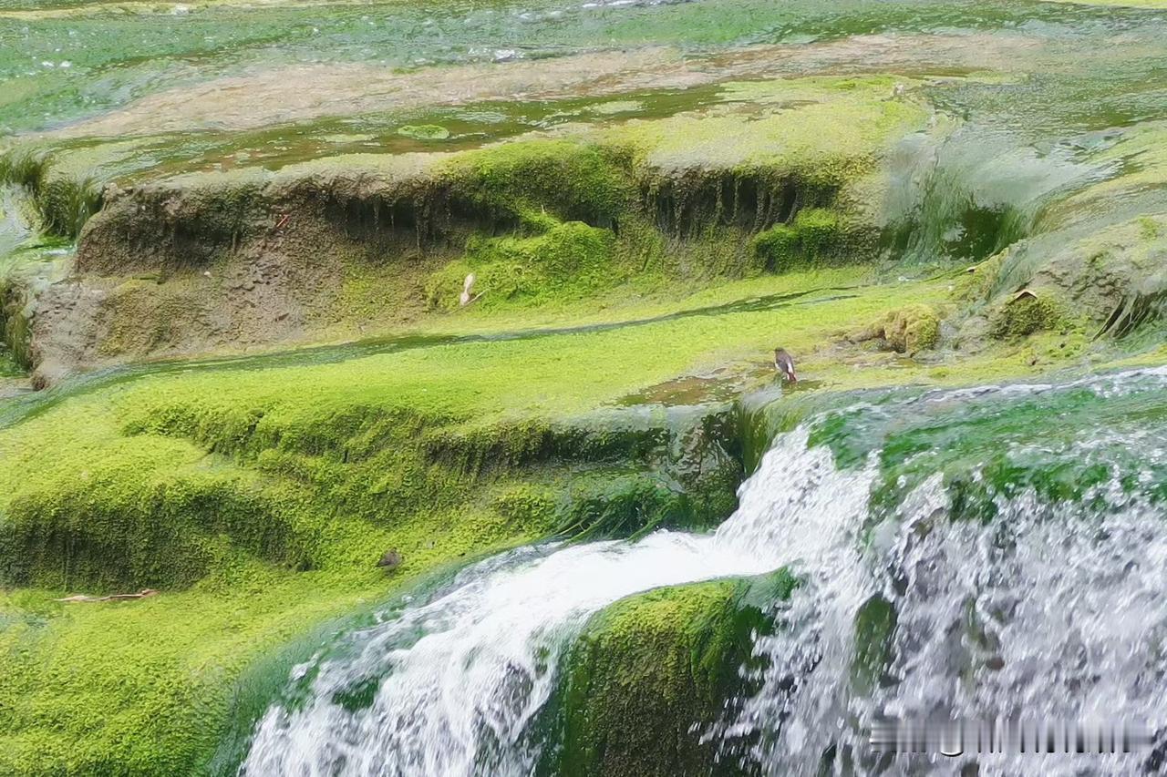 世间难得的是真情
努力虽然可以谋生
但遇到同样珍惜你的人
需要攒很久的运气