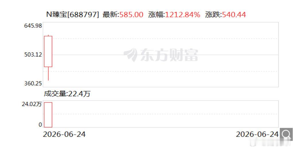 暴涨超1200% 触发临停！A股刚刚诞生10倍股 中一签赚27万元臻宝科技登陆科