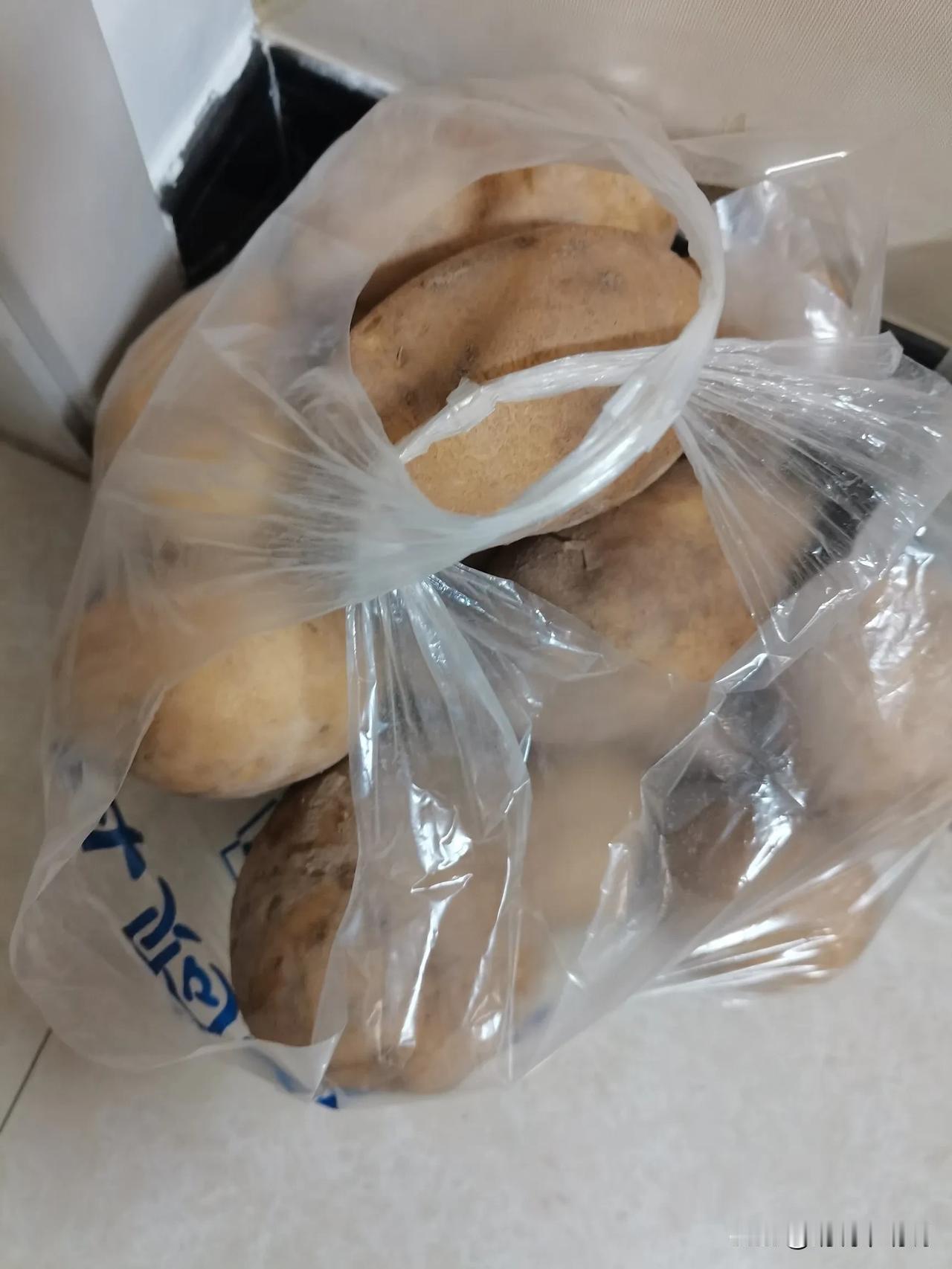 大家发现没有，这几天菜价贵的离谱，按说秋天了，正是丰收的季节，各种菜应该是最便宜