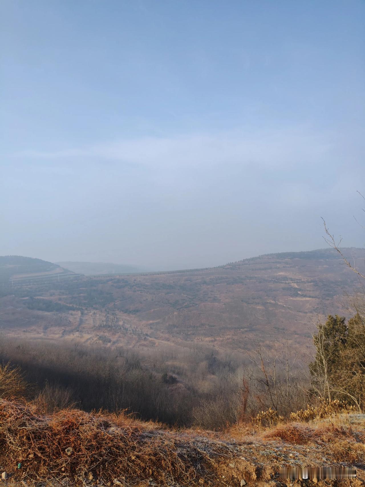 看到张雪峰猝死的消息，刚开始没想到是那个指导家长填写高考志愿的张雪峰。因为印象中