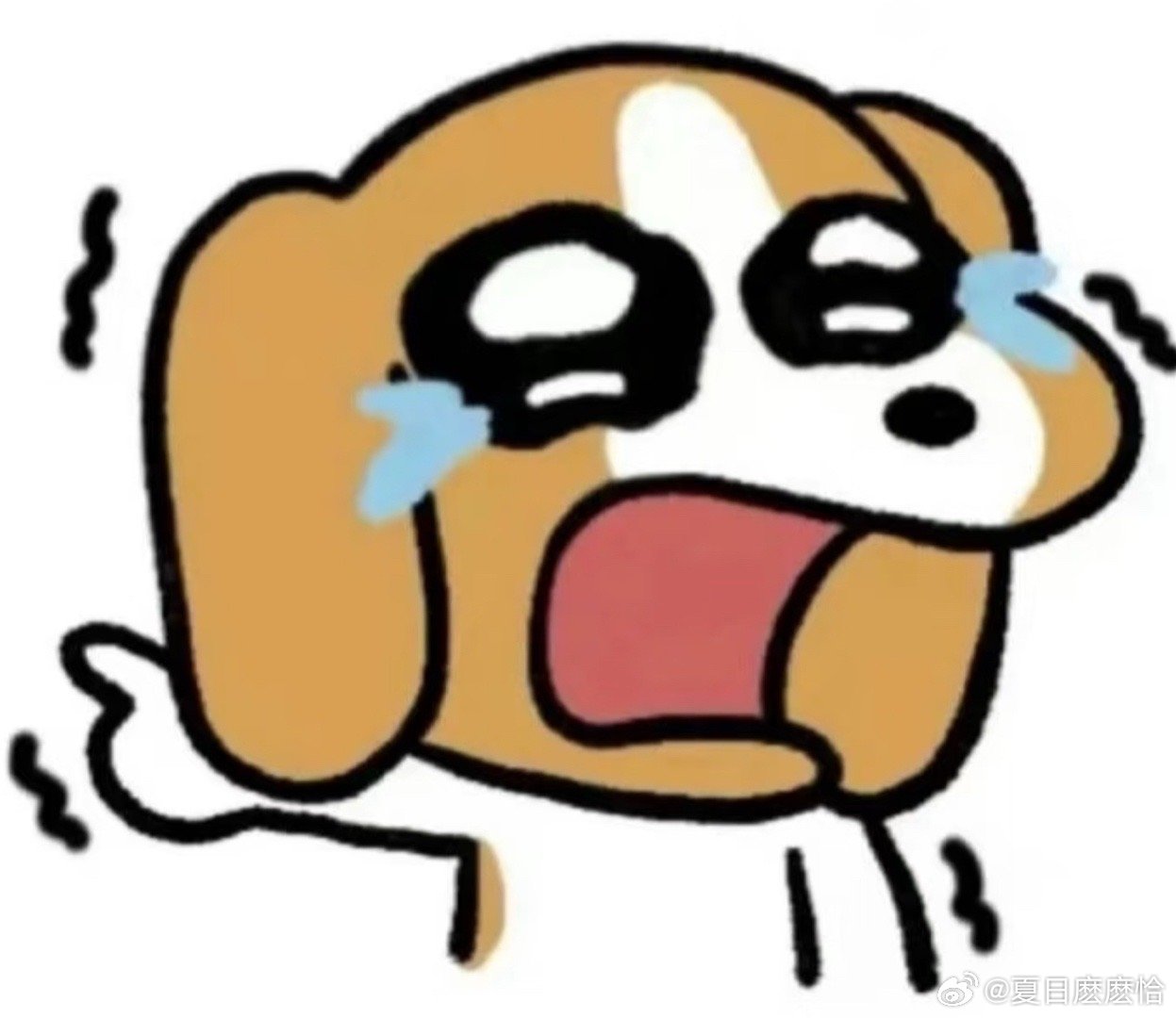 宁波女婴术后离世调查处置情况愿小天使一路走好，从此远离病痛、安稳长眠。愿家属节哀