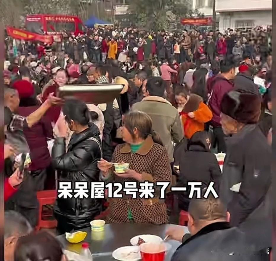 合川呆呆彻底“发呆”！12号涌来一万人，网友：这波流量接不住也得接
 
谁能想到