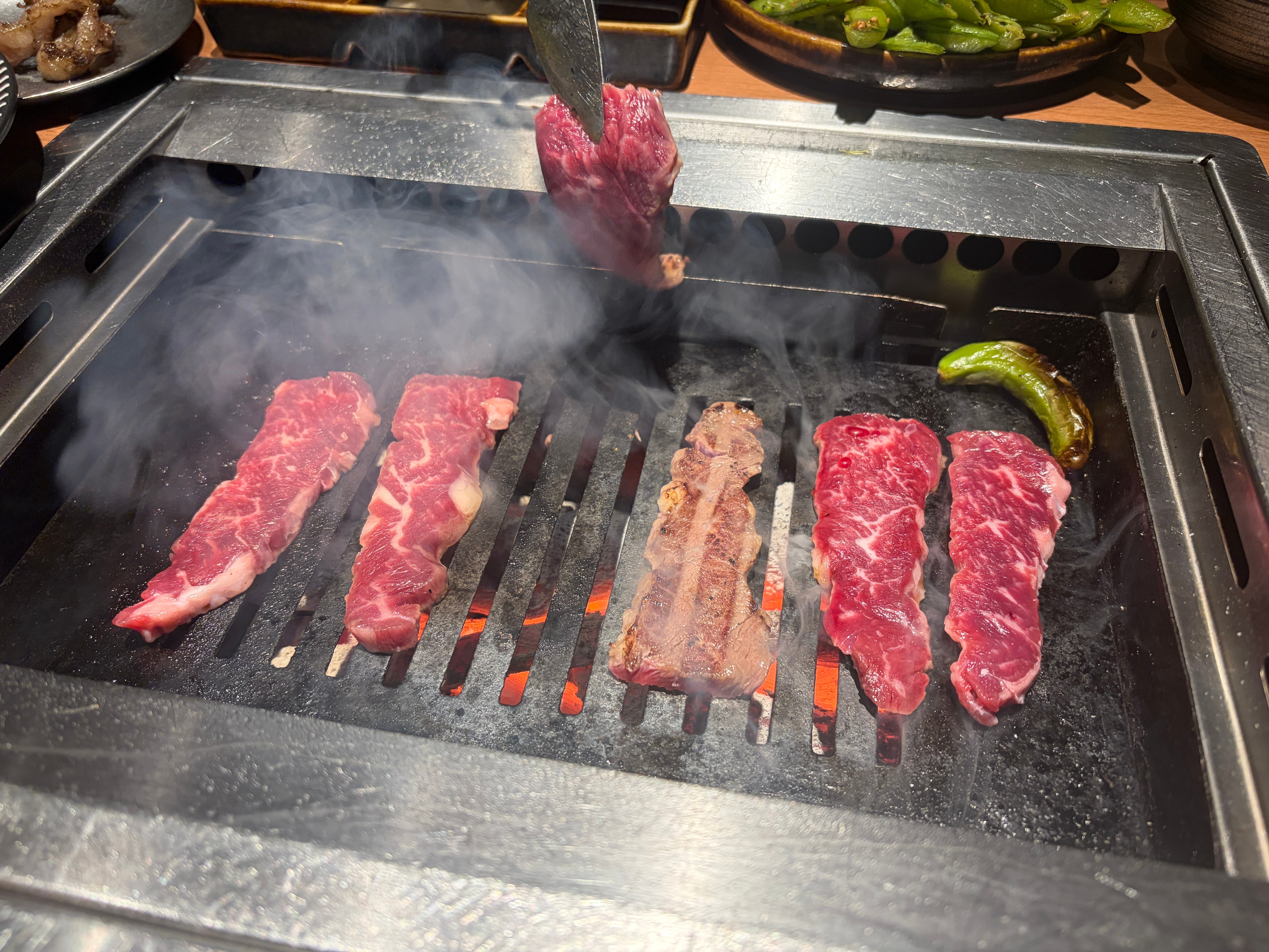 今晚犒劳一下我的小团队[doge]人均600的日式烧肉，还可以吧可惜和我的摄像老