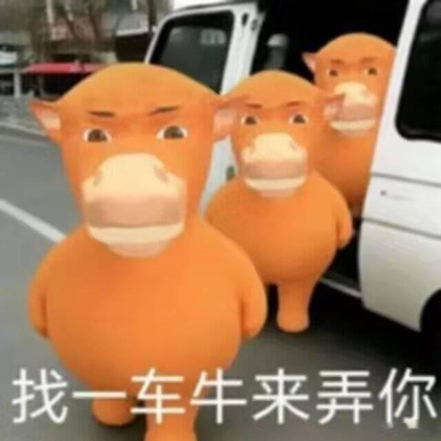 牛来到底是个啥电影啊谁去看了 