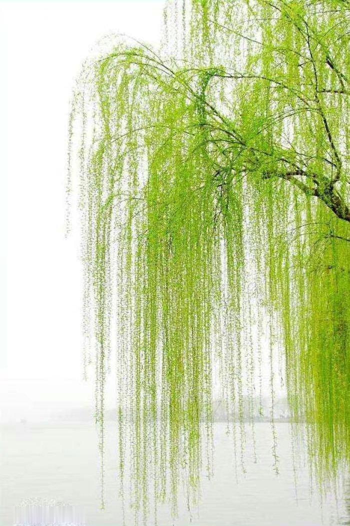 “今天飞花令｜主题【外、事】古诗词    ”                  