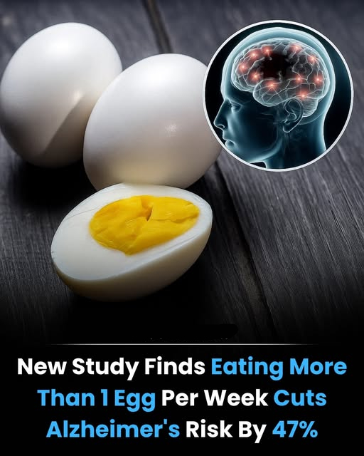 一项突破性的新研究表明，每周吃一个或多个鸡蛋可以显著降低患阿尔茨海默病的风险——