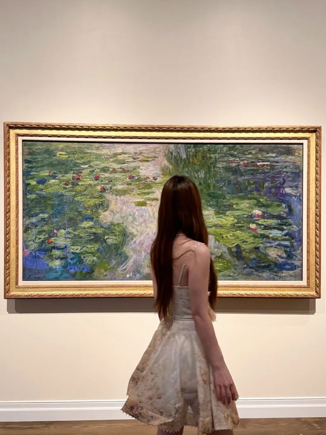 夏威夷🌺竟然有莫奈睡莲和中华文物的展览？