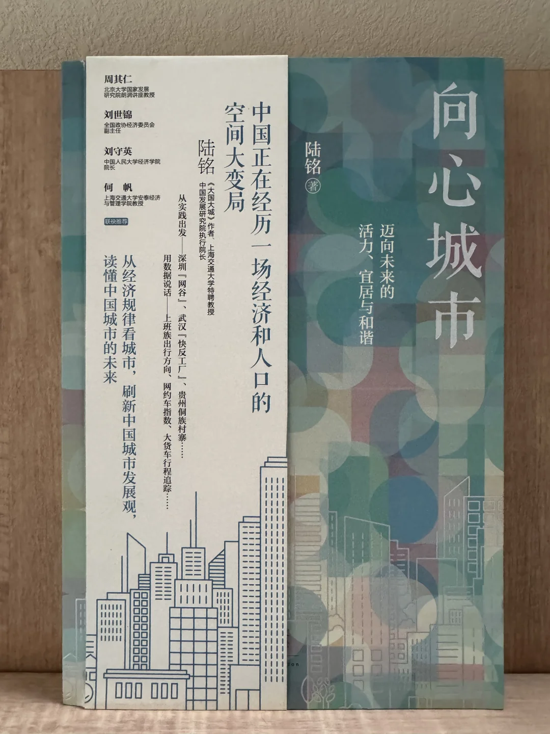 陆铭《向心城市》逃离北上广？我们该何去何从？