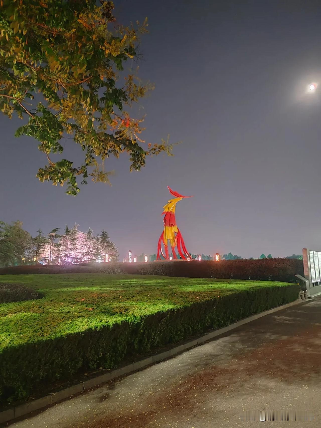 今天趁着中秋假期来临沂看看放假没回家的孩子，安排好住宿后，晚上去凤凰广场看无人机