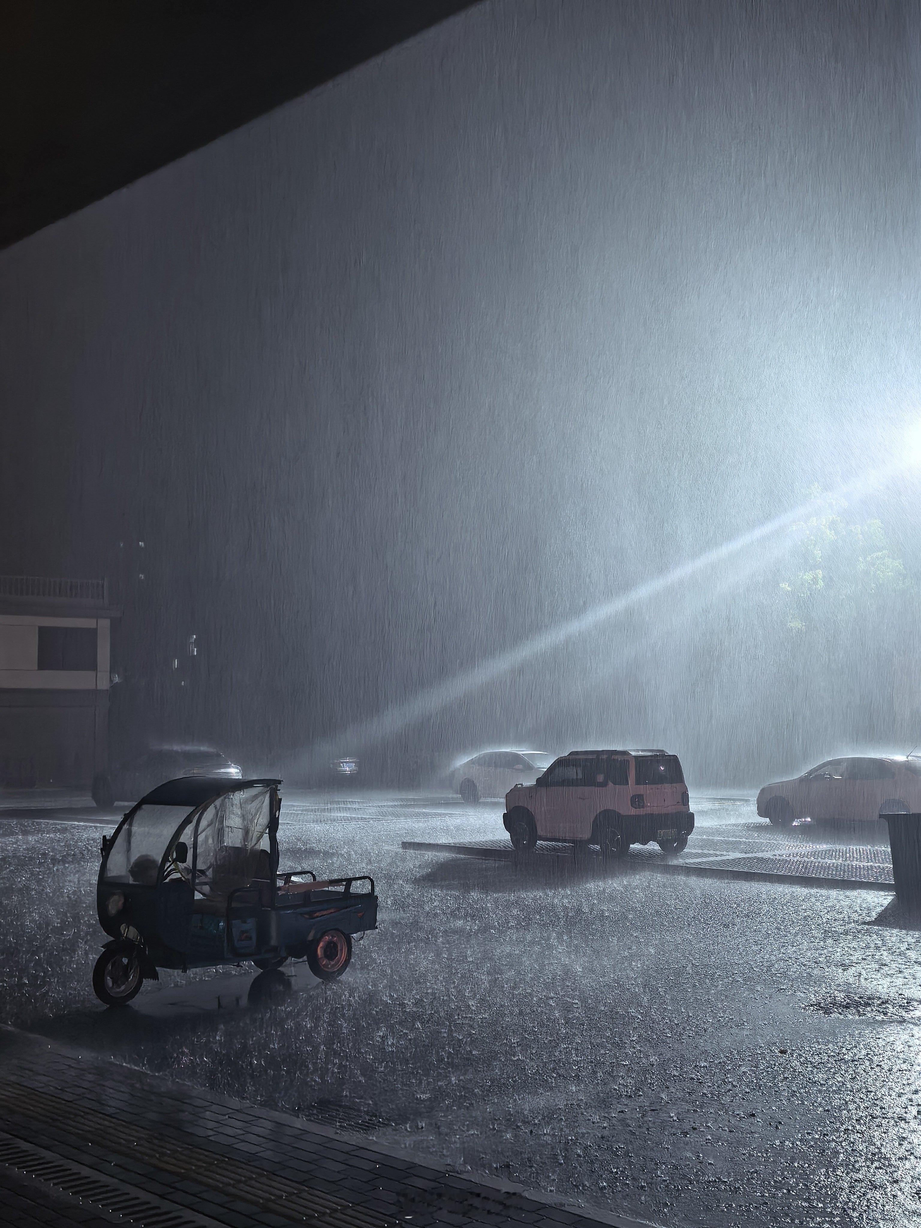 何方道友在渡劫