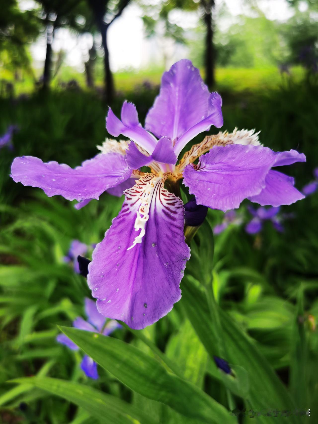 人这一生，
少“骄”去“惰”，便得生活至味三分。

可以是天之骄子，不可骄纵跋扈
