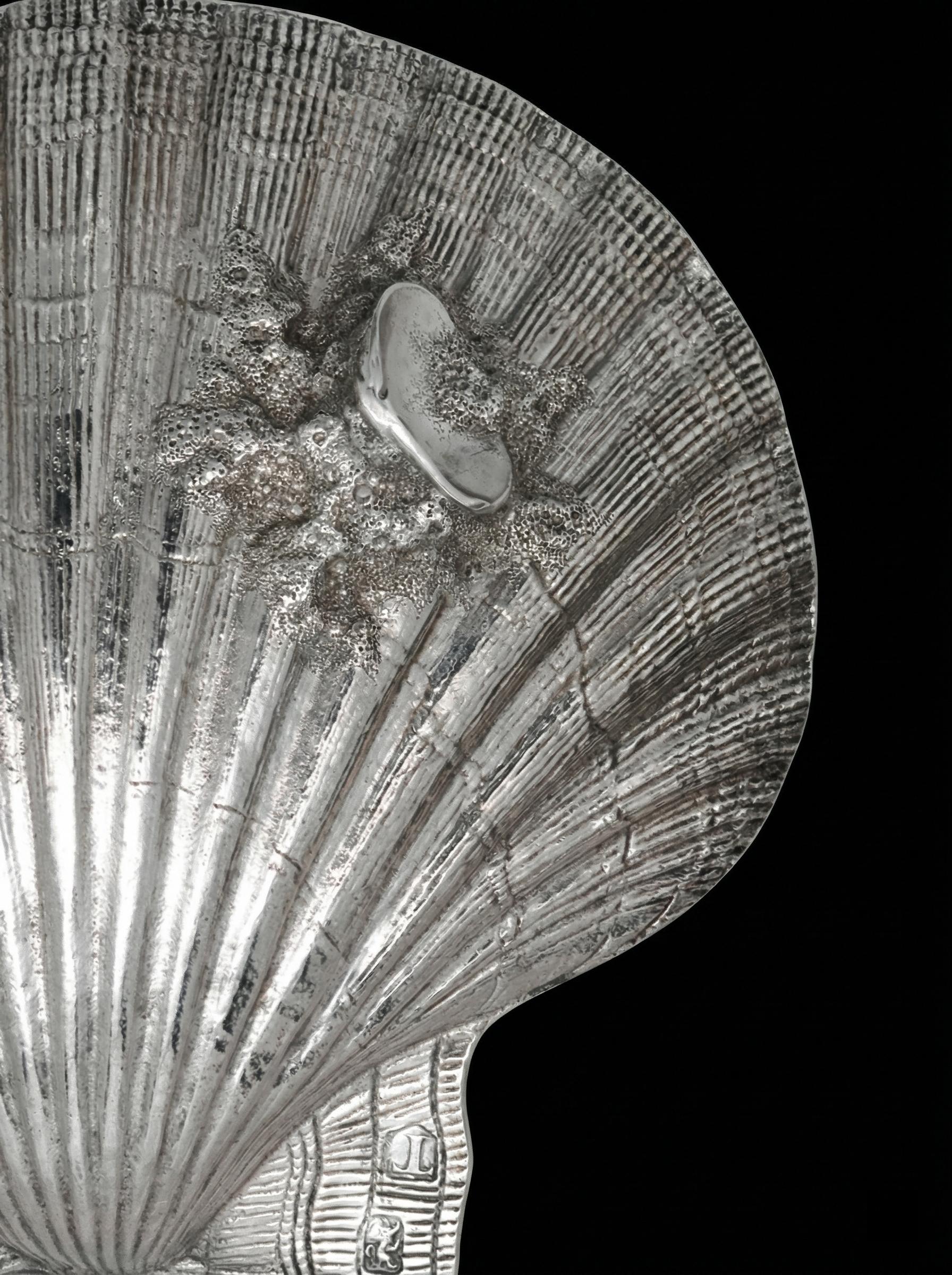 潮汐凝固 | 掠过指尖的银色海浪。🌊多少纯净光辉的宝石，深藏于不可测...