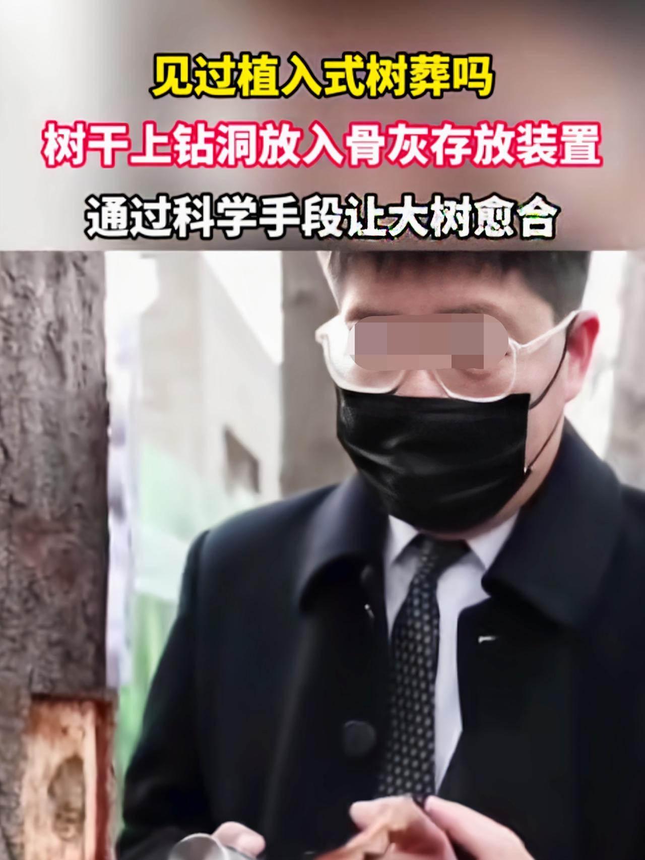 又扯淡了！好端端的一棵树，硬生生的给掏出个洞，美其名曰“嵌入式树葬”，明明是缺德