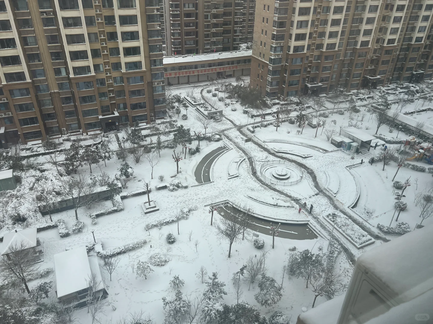 🌨️