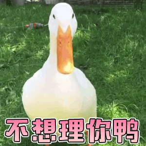 鹅腿阿姨卖的是鸭腿不是吧，这也能塌房。我看鸭子才是这个世界最万能的食物。夜市的羊