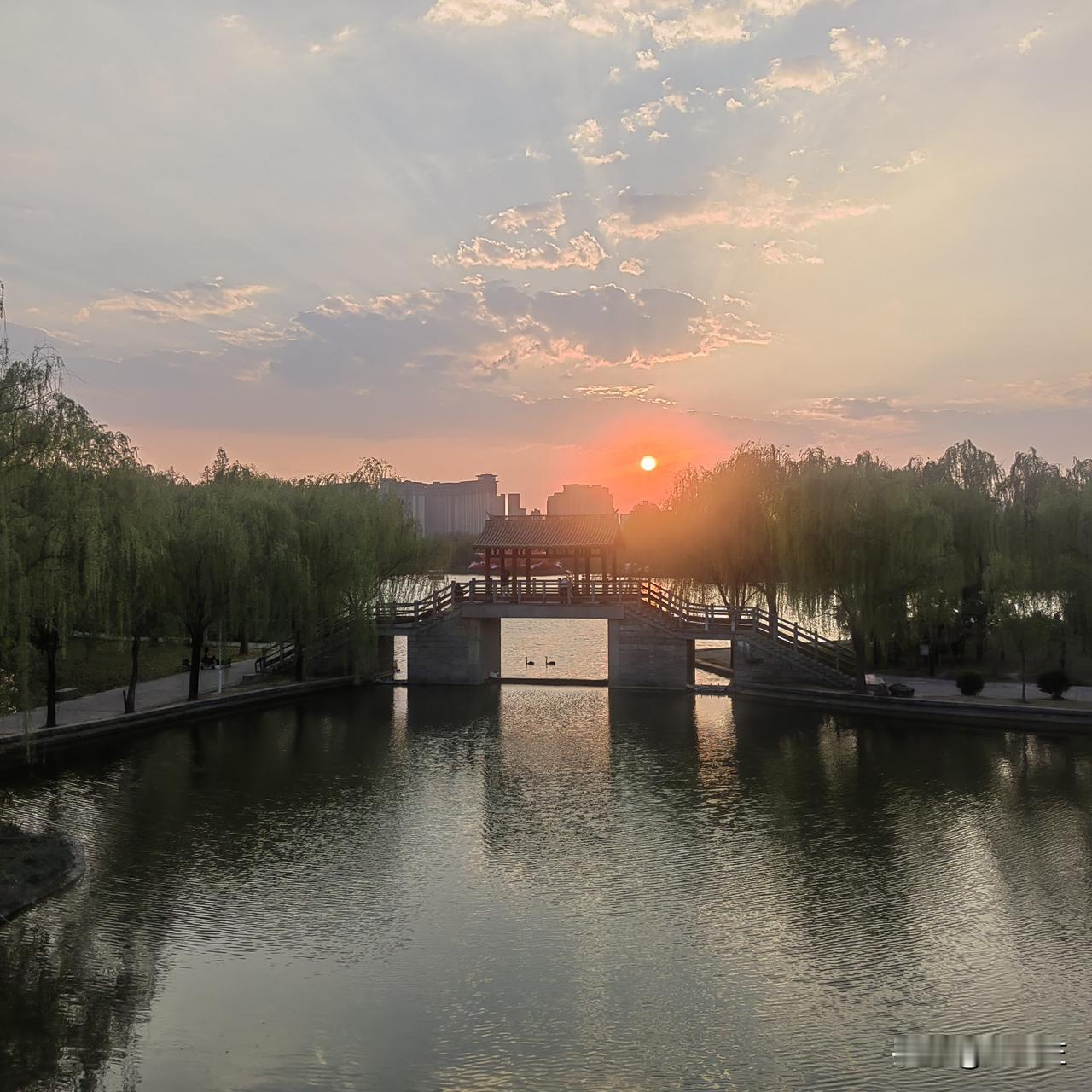 想写写我的给公公和婆婆，一对耄耋老人。
在西北那片黄河水浇灌的土地上，一对耄耋老