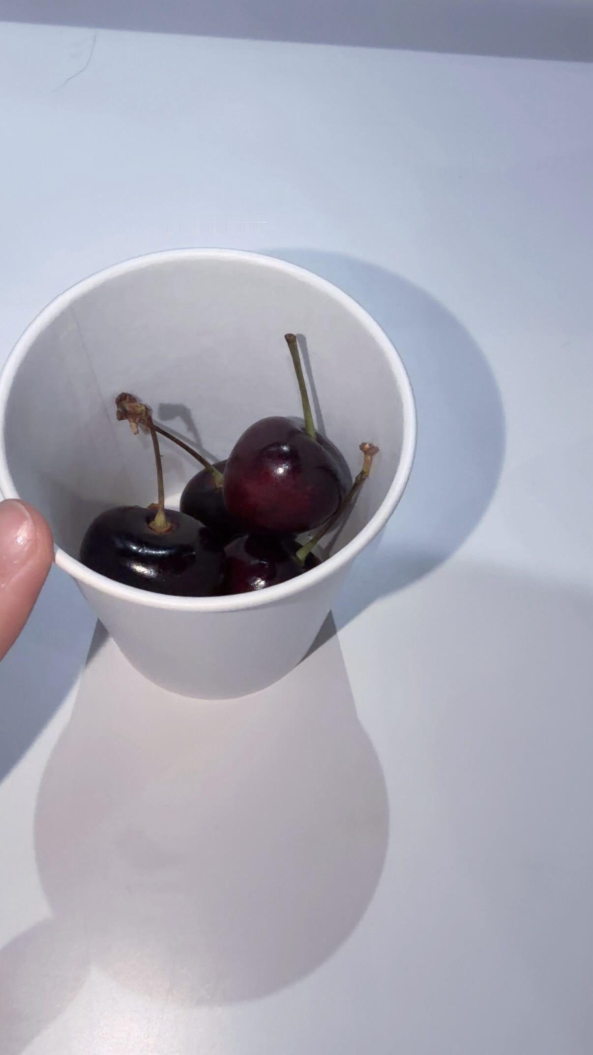 五百城茉央
