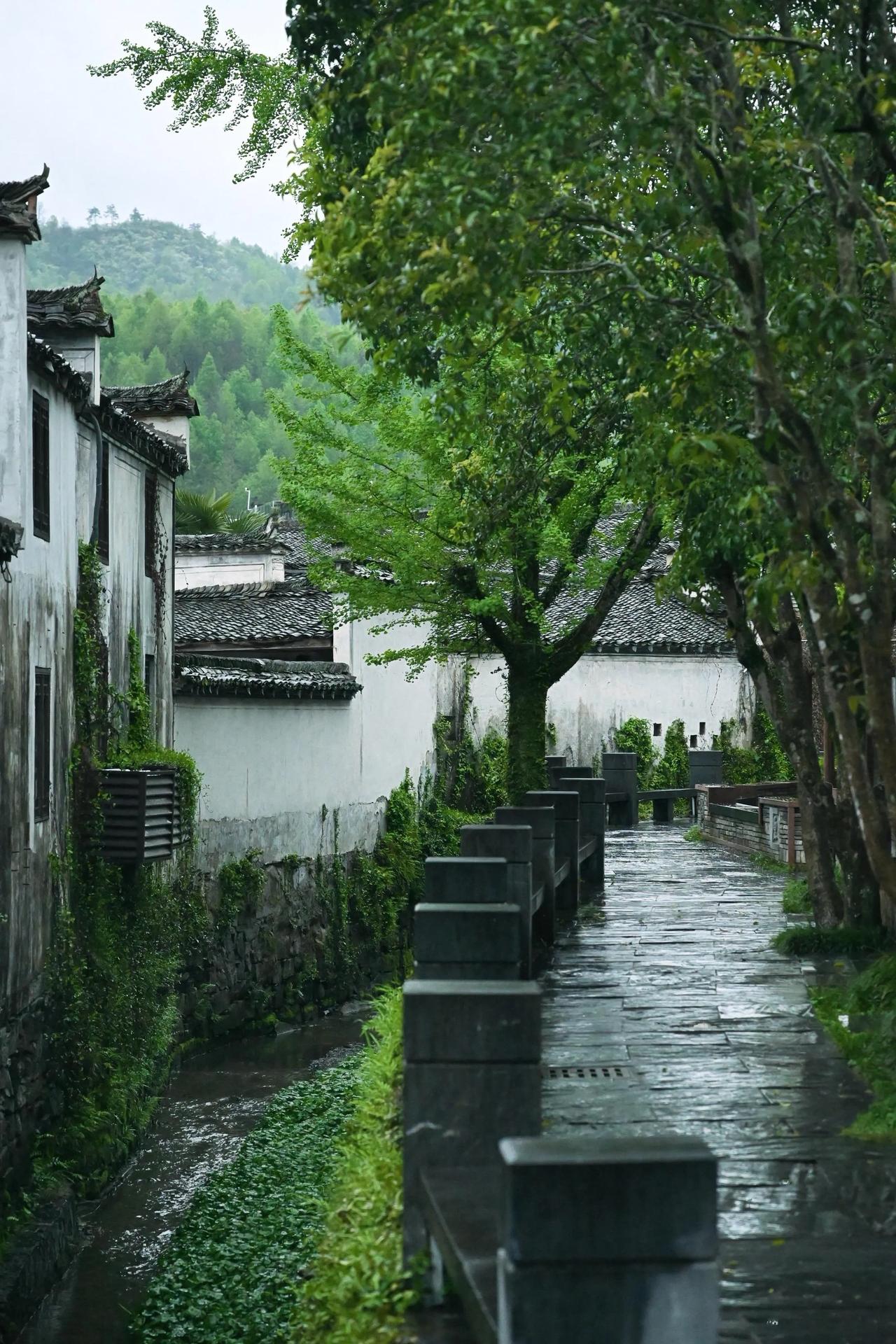 每个人选择的道路不同。今年有两个学生考的都蛮高的，都够得上北大的小语种，但是有一