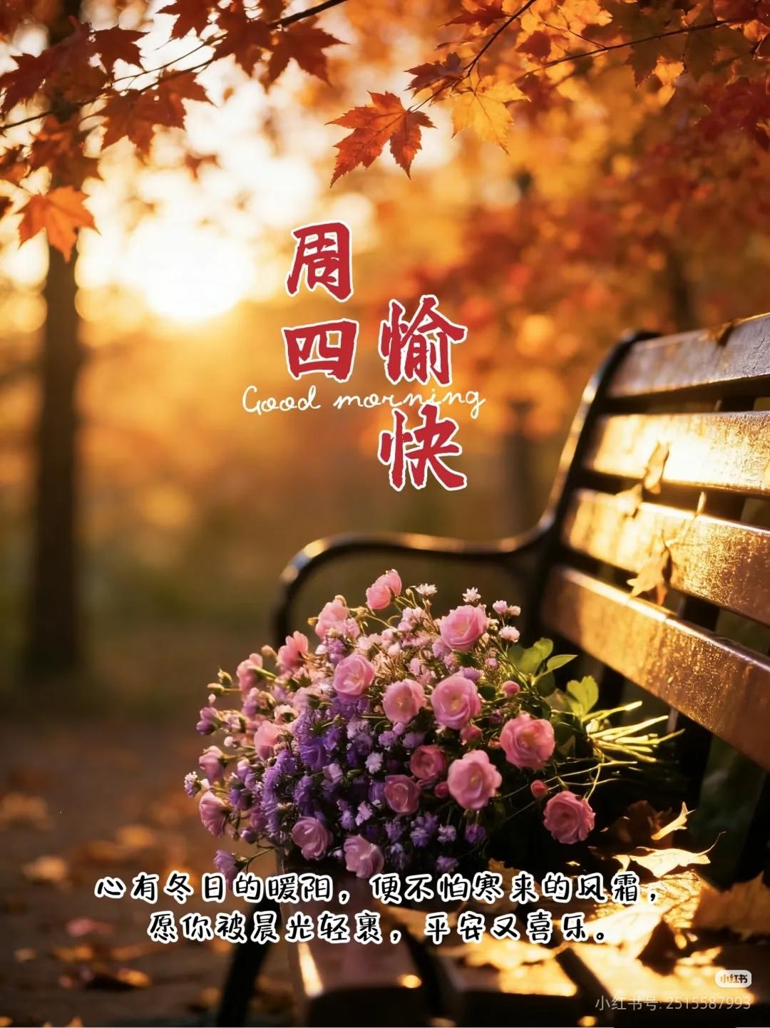 早上好！祝愿我们大家每天都忘掉年龄，天天高高兴兴，身体健康，远离烦恼，岁月静好。