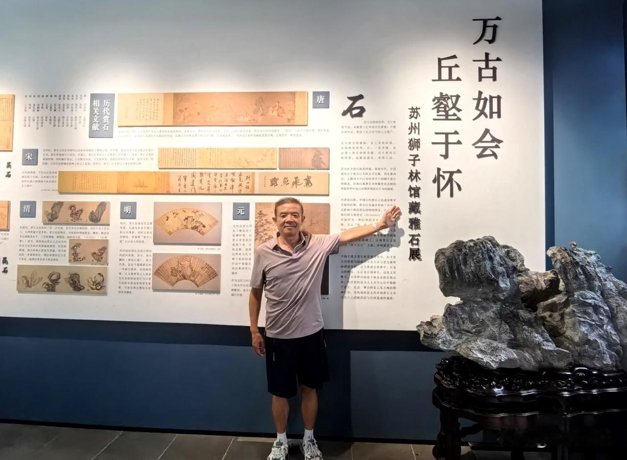 苏州狮子林雅石展（下）