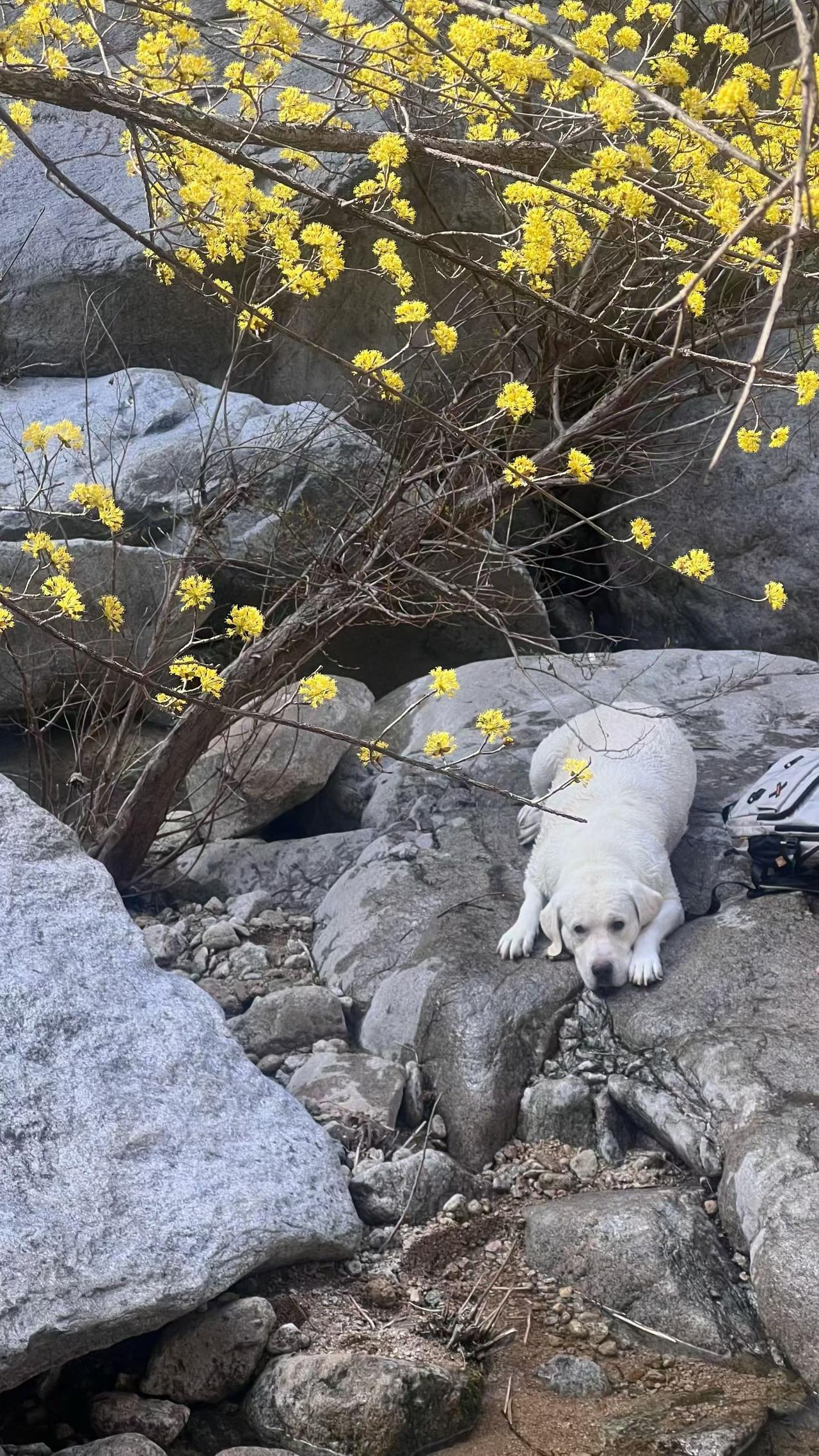 你认为A股何时能恢复上涨今天就回血了不少，我买的都是etf，有科技etf,有色e