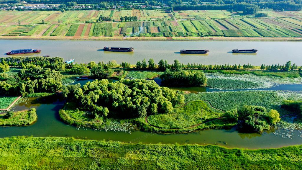 千年大运河变身“绿色长廊”
