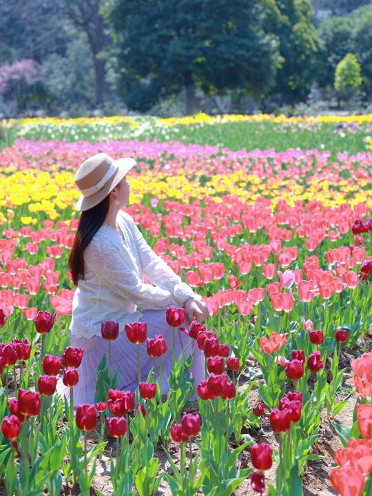 以为磨山樱园已经够美了❗️直到去了这里🌷