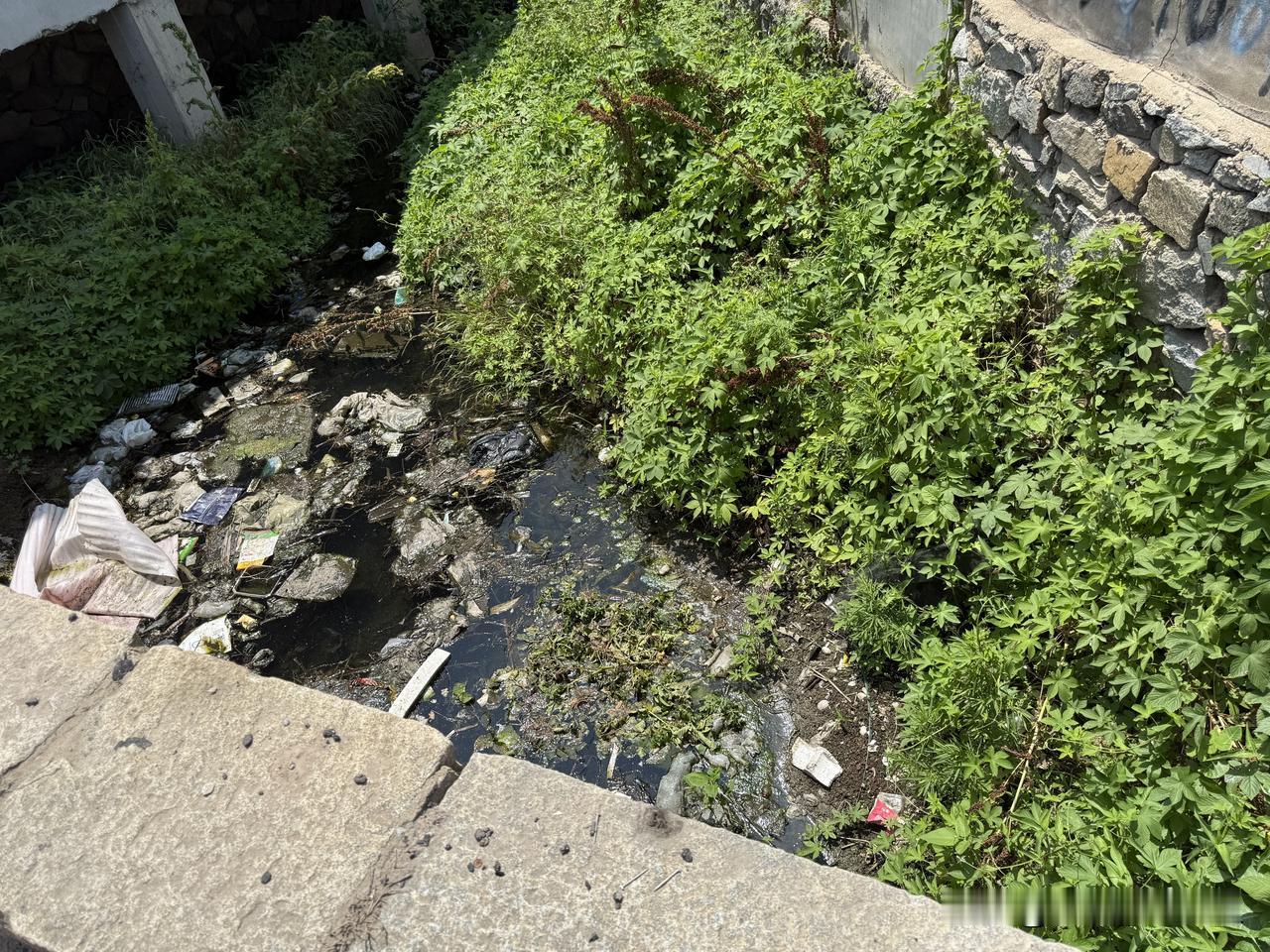 【普兰店城子坦街北边有段河，里边好多垃圾】
今天在城子坦街道往北走公路边上，腾讯