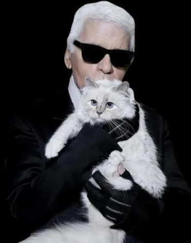 【去世7年后，#香奈儿传奇设计师遗嘱遭质疑#：150万美元+花园房给爱猫？】#香