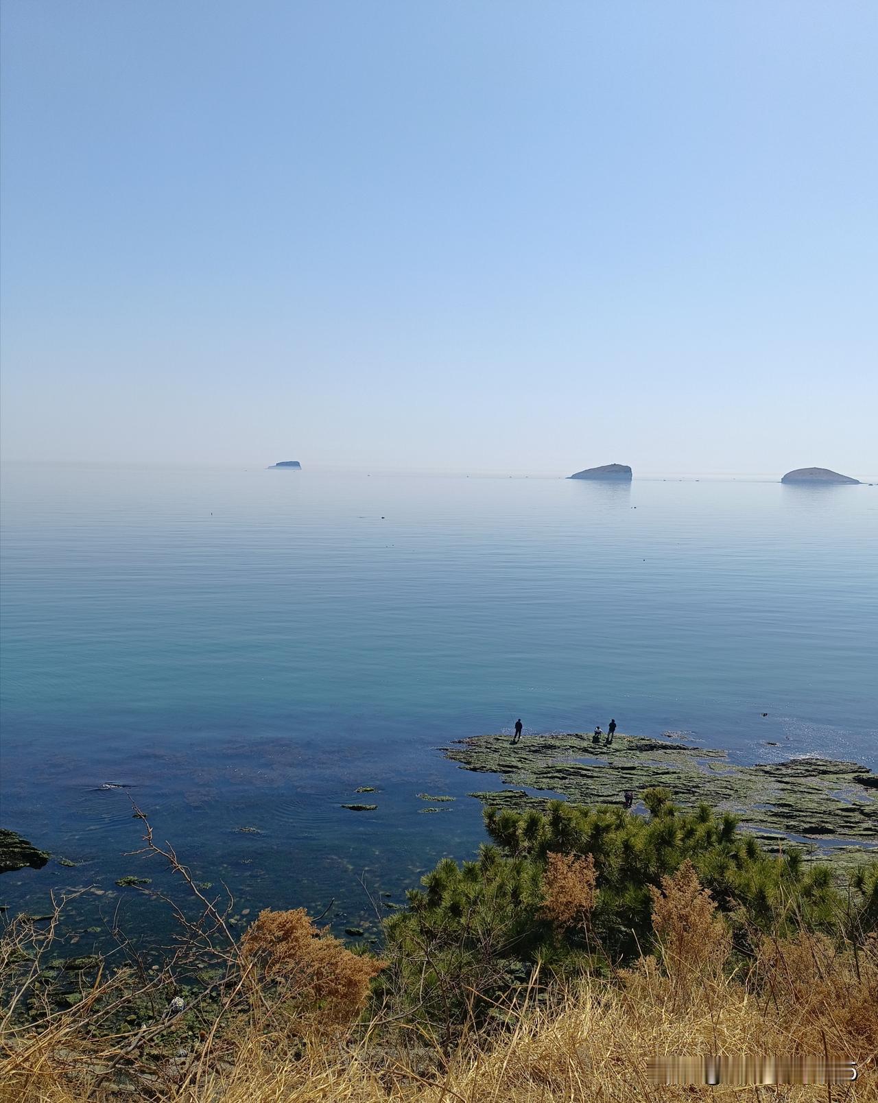 周末去哪玩?
首选大连，有一种不在国内的美，自带治愈系风景，最关键的是很多地方都