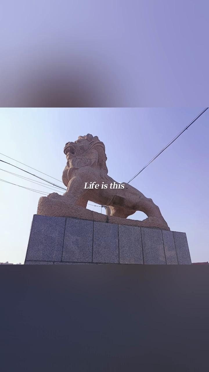 Life is this，I like this。