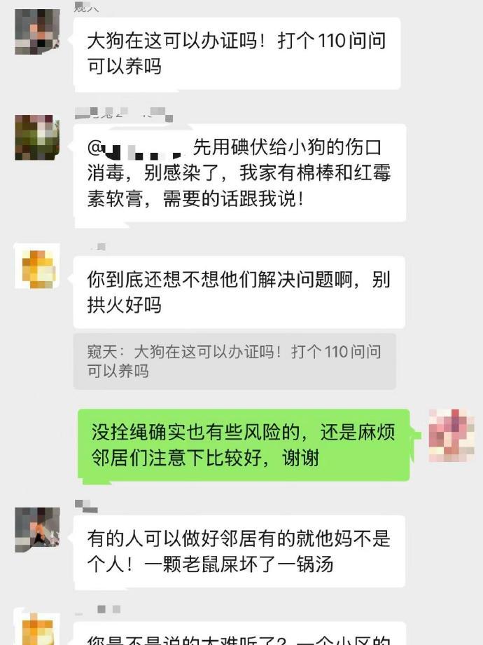 没拴绳的小狗被大狗咬了[哆啦A梦害怕] ​​​