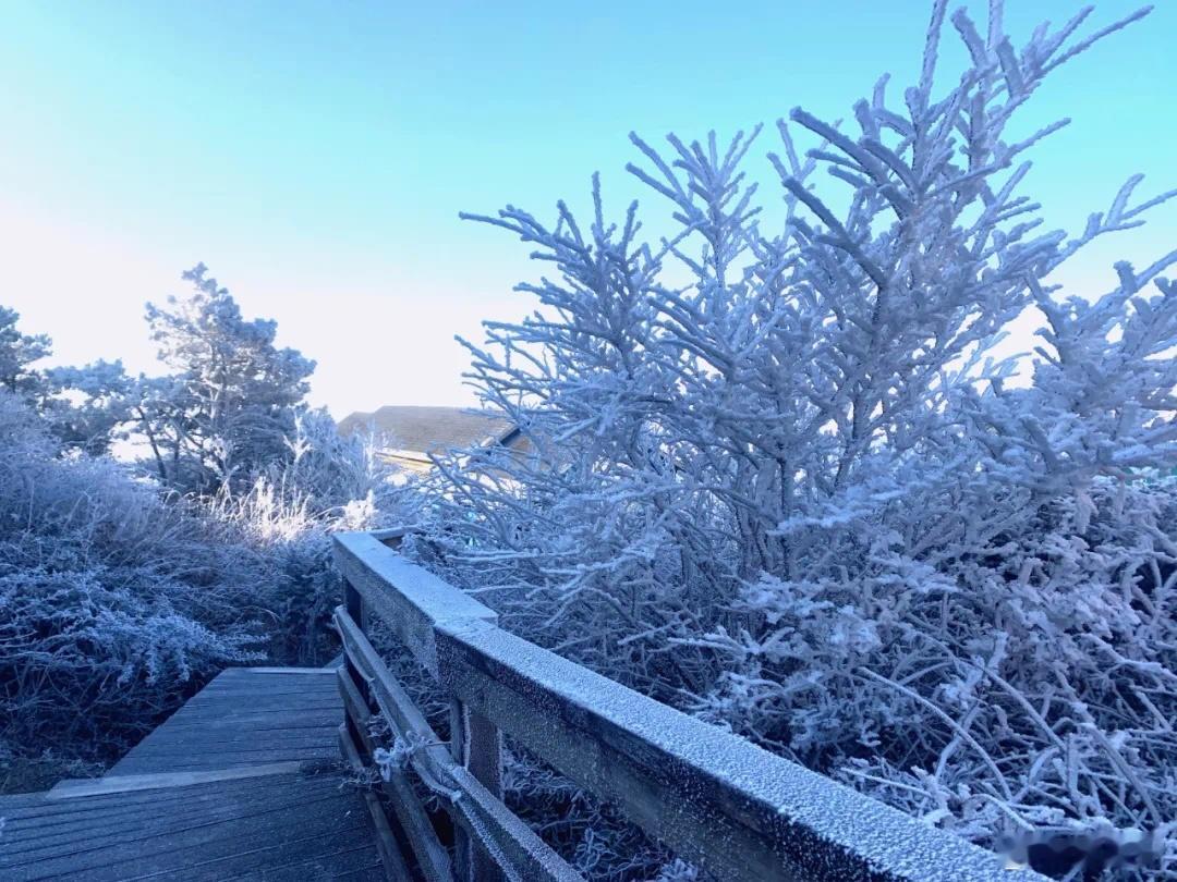 2025年第一场雪来到福建 受冷空气影响10日早晨最低气温南平中北部、三明西部宁